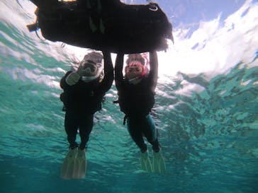 武藤潜水に投稿された画像（2021/12/7）