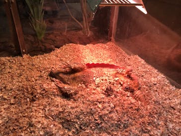 Moff animal world MARK IS みなとみらい店に投稿された画像（2021/12/7）