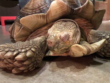 Moff animal world MARK IS みなとみらい店に投稿された画像（2021/12/7）