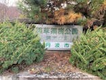 丹波市立薬草薬樹公園　丹波の湯に投稿された画像（2021/12/7）