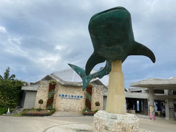沖縄美ら海水族館に投稿された画像（2021/12/7）