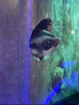 カワスイ 川崎⽔族館に投稿された画像（2021/12/7）