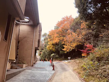 成田の命泉　大和の湯に投稿された画像（2021/12/7）