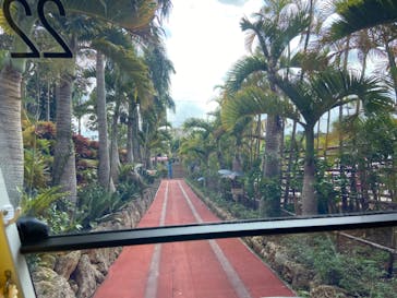 ナゴパイナップルパークに投稿された画像（2021/12/7）