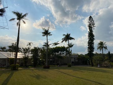 美らヤシパークオキナワ・東南植物楽園に投稿された画像（2021/12/7）