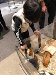 Moff animal world MARK IS みなとみらい店に投稿された画像（2021/12/7）