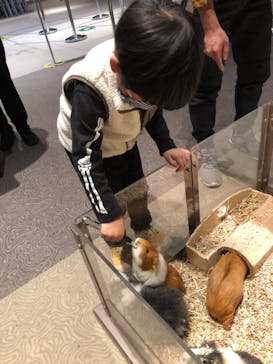 Moff animal world MARK IS みなとみらい店に投稿された画像（2021/12/7）