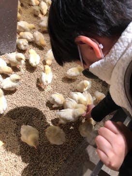 Moff animal world MARK IS みなとみらい店に投稿された画像（2021/12/7）