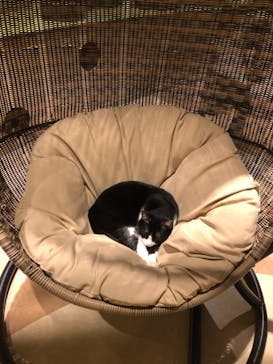 Moff animal world MARK IS みなとみらい店に投稿された画像（2021/12/7）