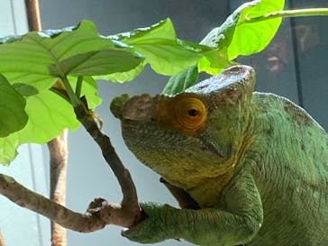 カワスイ 川崎⽔族館に投稿された画像（2021/12/7）