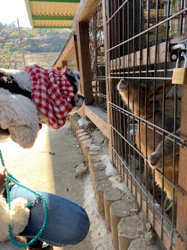 しろとり動物園に投稿された画像（2021/12/7）