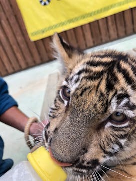しろとり動物園に投稿された画像（2021/12/7）
