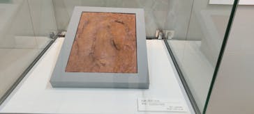 国立科学博物館に投稿された画像（2021/12/7）