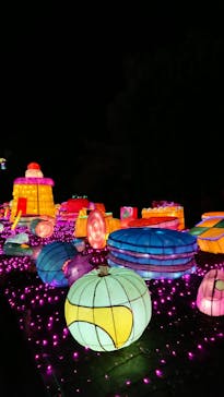 伊豆ぐらんぱる公園に投稿された画像（2021/12/7）