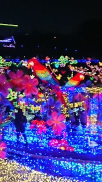 伊豆ぐらんぱる公園に投稿された画像（2021/12/7）