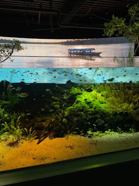 カワスイ 川崎⽔族館に投稿された画像（2021/12/7）