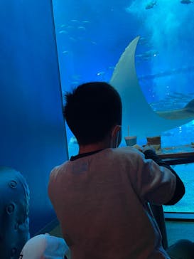 沖縄美ら海水族館に投稿された画像（2021/12/7）