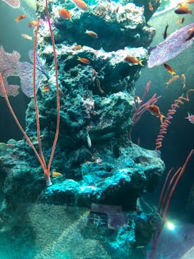 神戸みなと温泉 蓮に投稿された画像（2021/12/7）