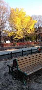 江戸東京たてもの園に投稿された画像（2021/12/8）