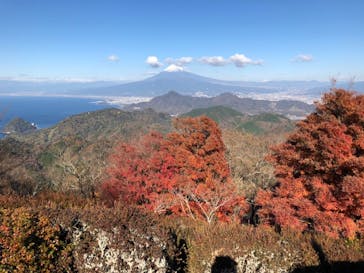 伊豆パノラマパークに投稿された画像（2021/12/8）