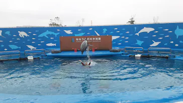 仙台うみの杜水族館に投稿された画像（2021/12/8）