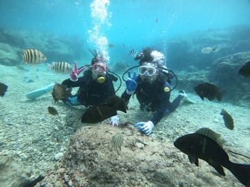 武藤潜水に投稿された画像（2021/12/8）