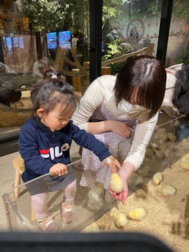 Moff animal world MARK IS みなとみらい店に投稿された画像（2021/12/8）