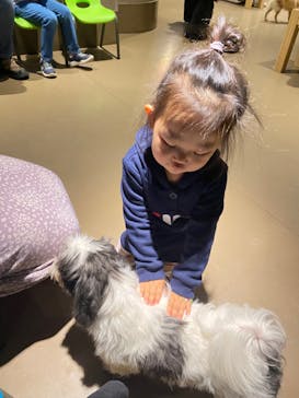 Moff animal world MARK IS みなとみらい店に投稿された画像（2021/12/8）