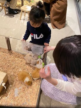 Moff animal world MARK IS みなとみらい店に投稿された画像（2021/12/8）