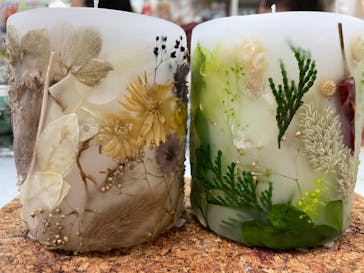 ずこうしつ〜sugamo〜に投稿された画像（2021/12/8）