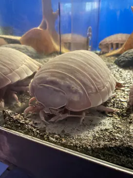 横浜・八景島シーパラダイスに投稿された画像（2021/12/8）