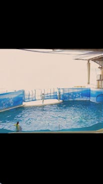 新江ノ島水族館に投稿された画像（2021/12/8）