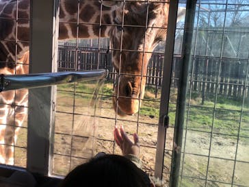 那須サファリパークに投稿された画像（2021/12/8）