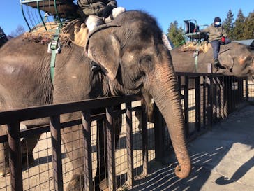 那須サファリパークに投稿された画像（2021/12/8）