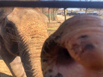 那須サファリパークに投稿された画像（2021/12/8）