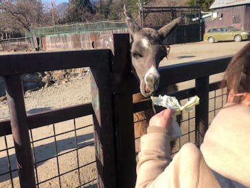 那須サファリパークに投稿された画像（2021/12/8）