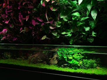 サンシャイン水族館に投稿された画像（2021/12/8）