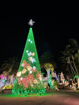 美らヤシパークオキナワ・東南植物楽園に投稿された画像（2021/12/8）