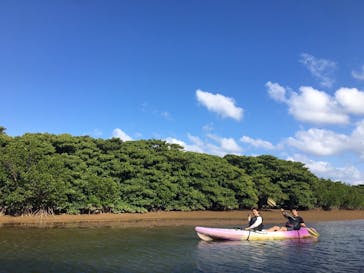 CHOROに投稿された画像（2021/12/8）