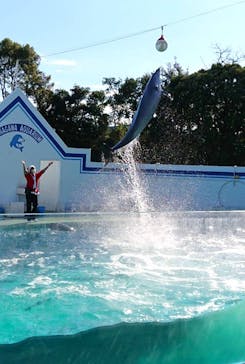 しながわ水族館に投稿された画像（2021/12/8）