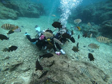 武藤潜水に投稿された画像（2021/12/9）