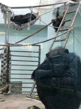 沖縄こどもの国に投稿された画像（2021/12/9）