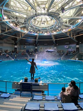 マクセル アクアパーク品川に投稿された画像（2021/12/9）