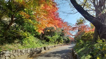 鳩山会館に投稿された画像（2021/12/9）