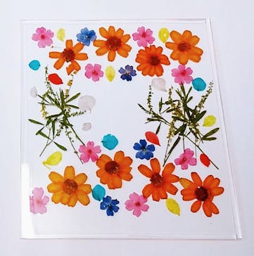 ずこうしつ〜sugamo〜に投稿された画像（2021/12/9）