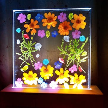 ずこうしつ〜sugamo〜に投稿された画像（2021/12/9）