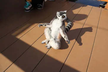 神戸どうぶつ王国に投稿された画像（2021/12/9）