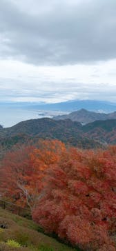 伊豆パノラマパークに投稿された画像（2021/12/9）