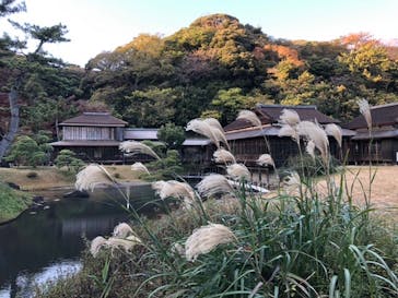 三溪園に投稿された画像（2021/12/9）