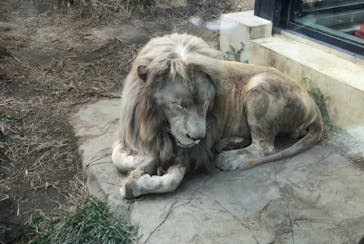 沖縄こどもの国に投稿された画像（2021/12/8）